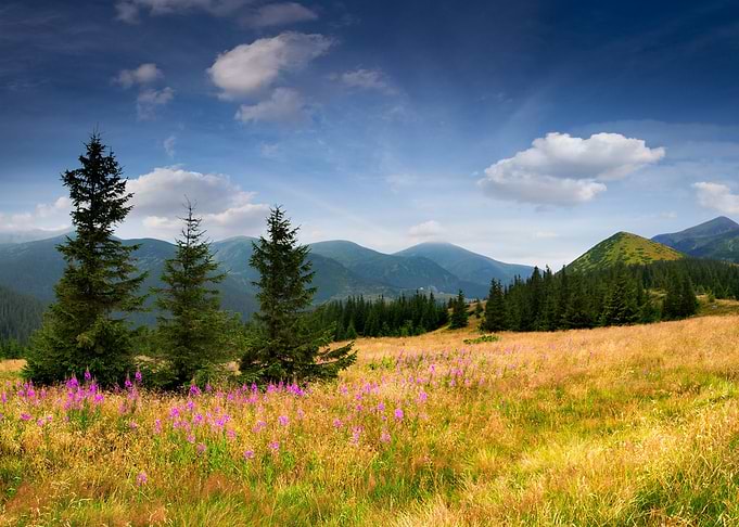 Mountain Landscape