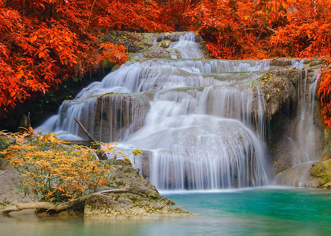 Forest Waterfall