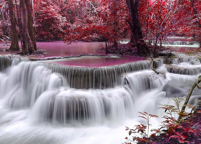 Forest Waterfalls