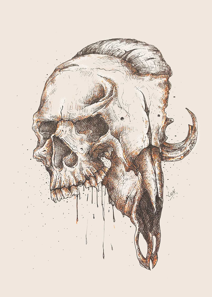 skull