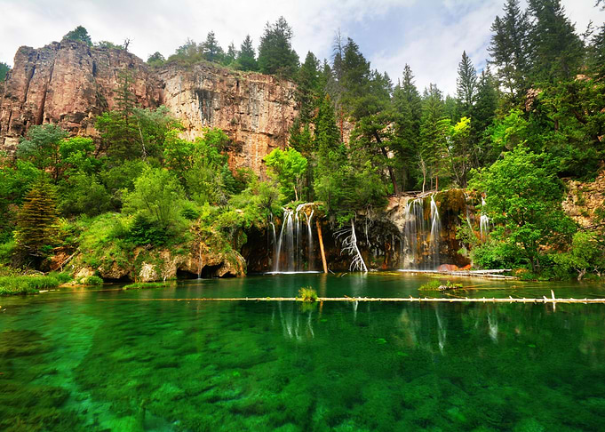 Forest Waterfall