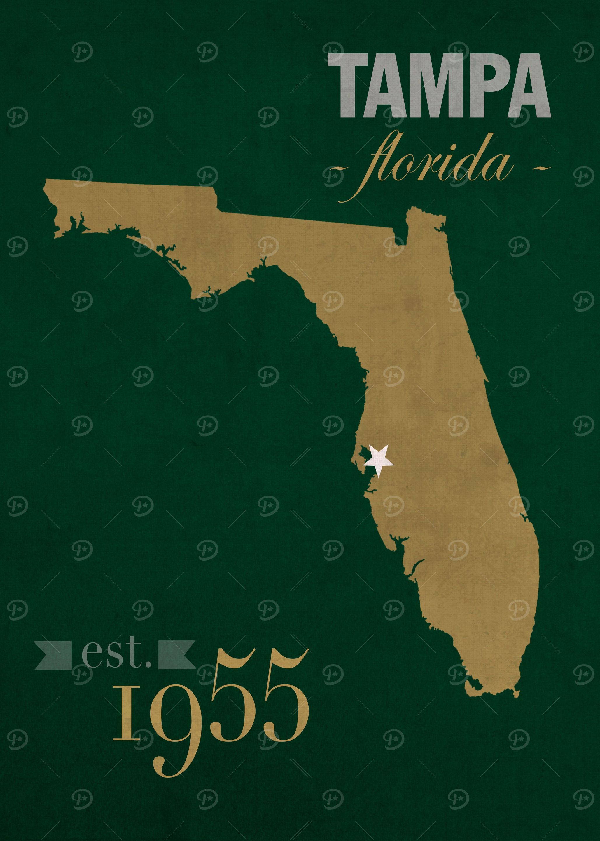 South Florida University