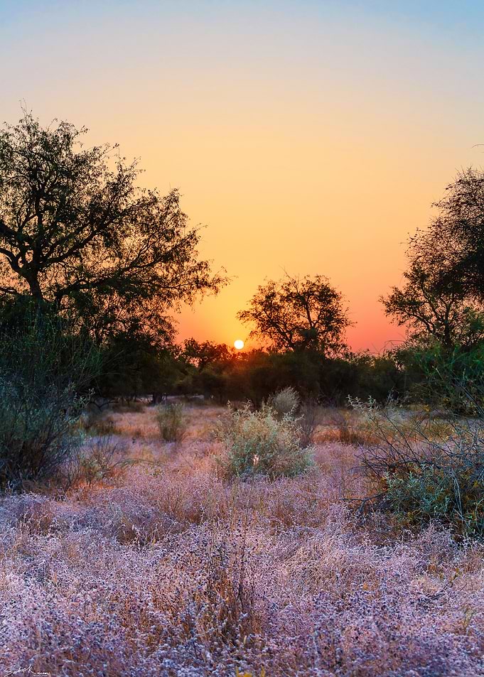 Crack of Dawn