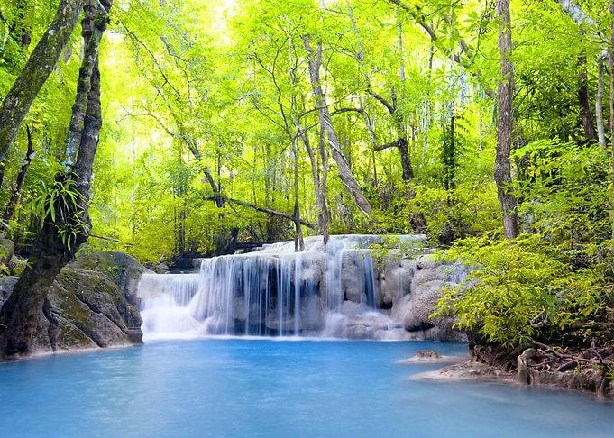 Forest Waterfall
