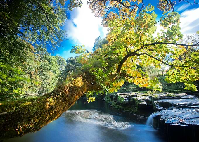 Beautiful waterfall view
