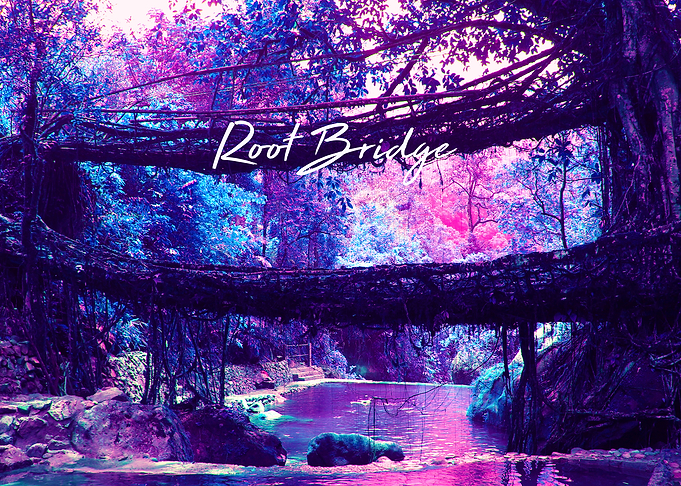 Root Bridge