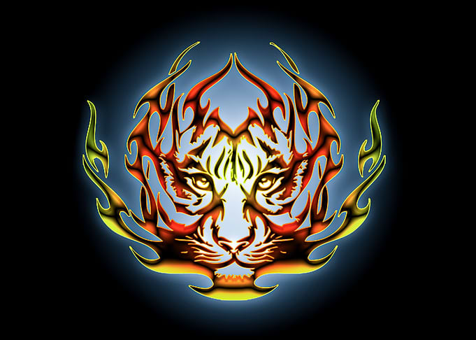 tribal tiger