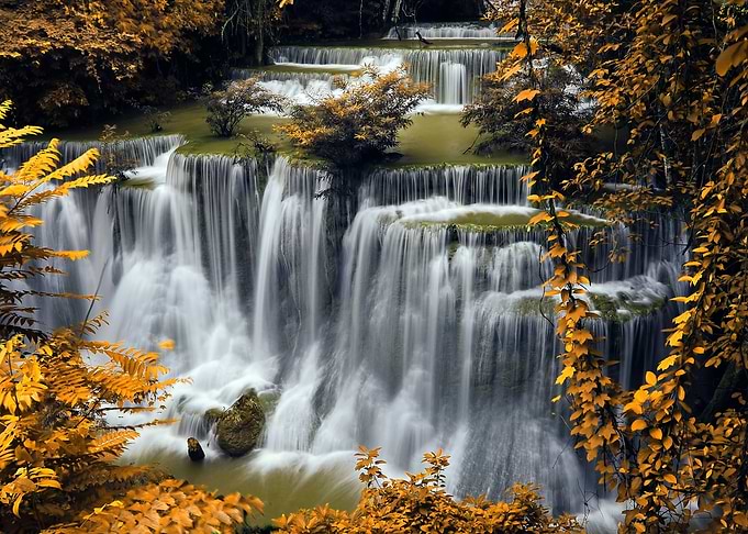 Forest Waterfalls