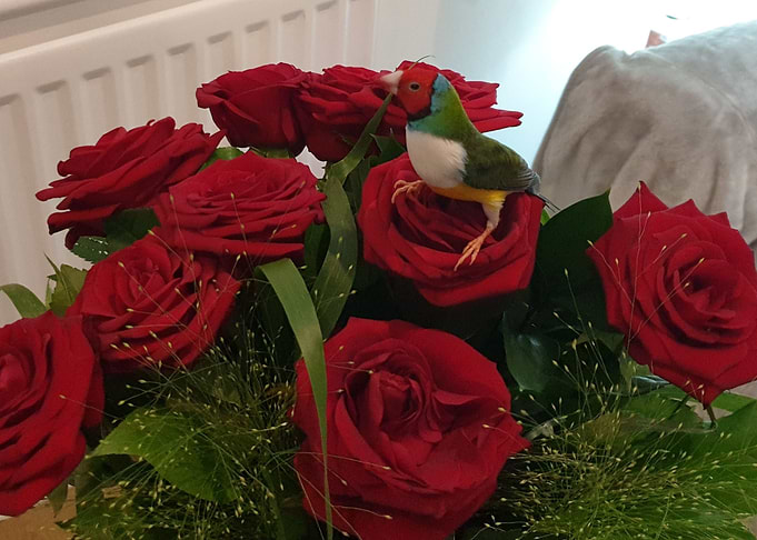 Skittles on Rose