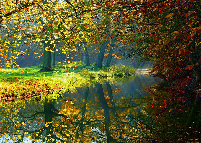 Nature Lake