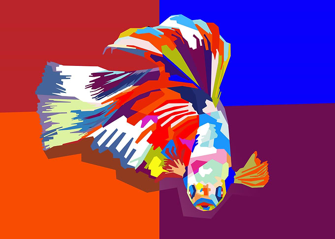 beauty betta fish