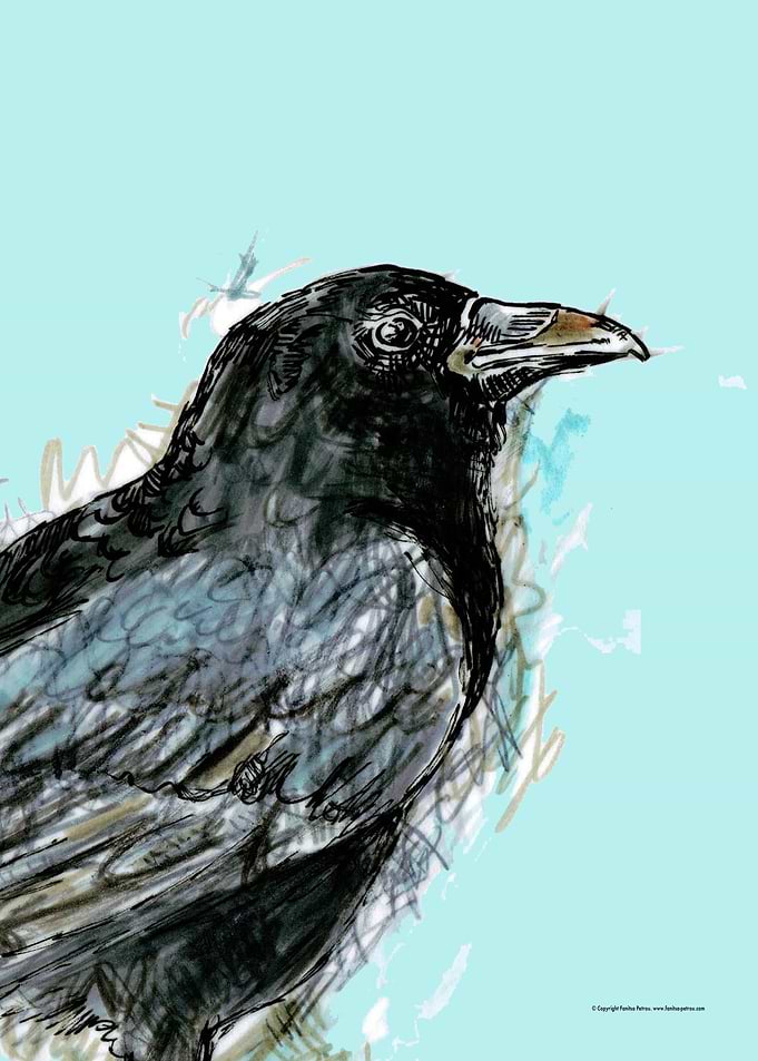 Raven 1