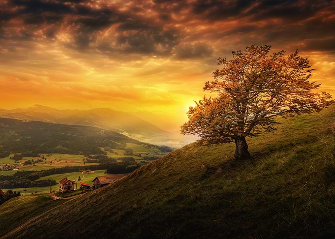 Nature Landscape