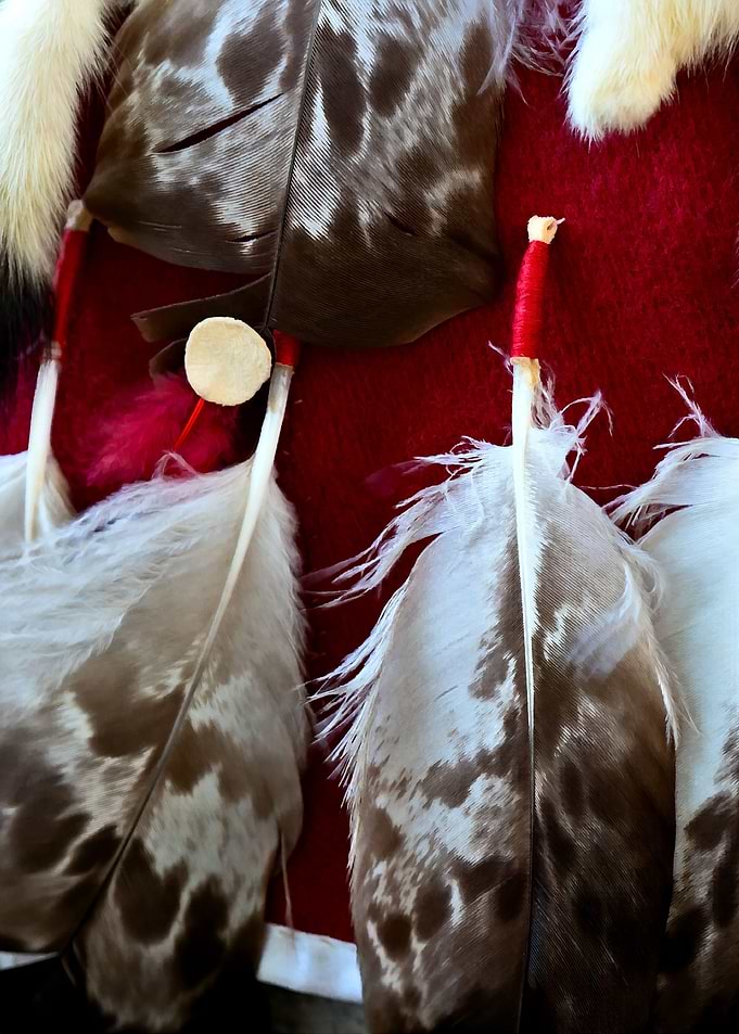 Decorative Feathers