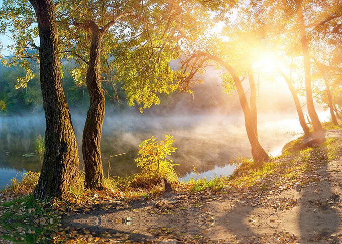 Beautiful nature view