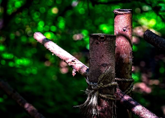 Garden Fence Poles