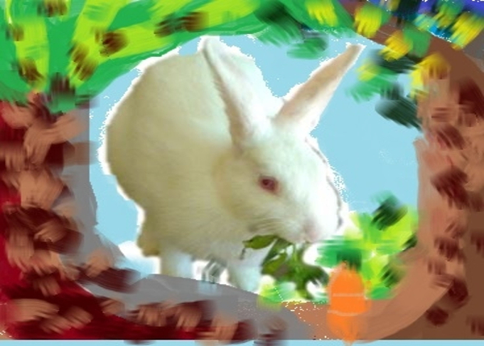 Bunny