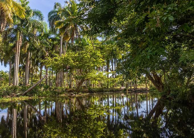 Rio La Catalina 3