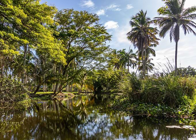 Rio La Catalina 1