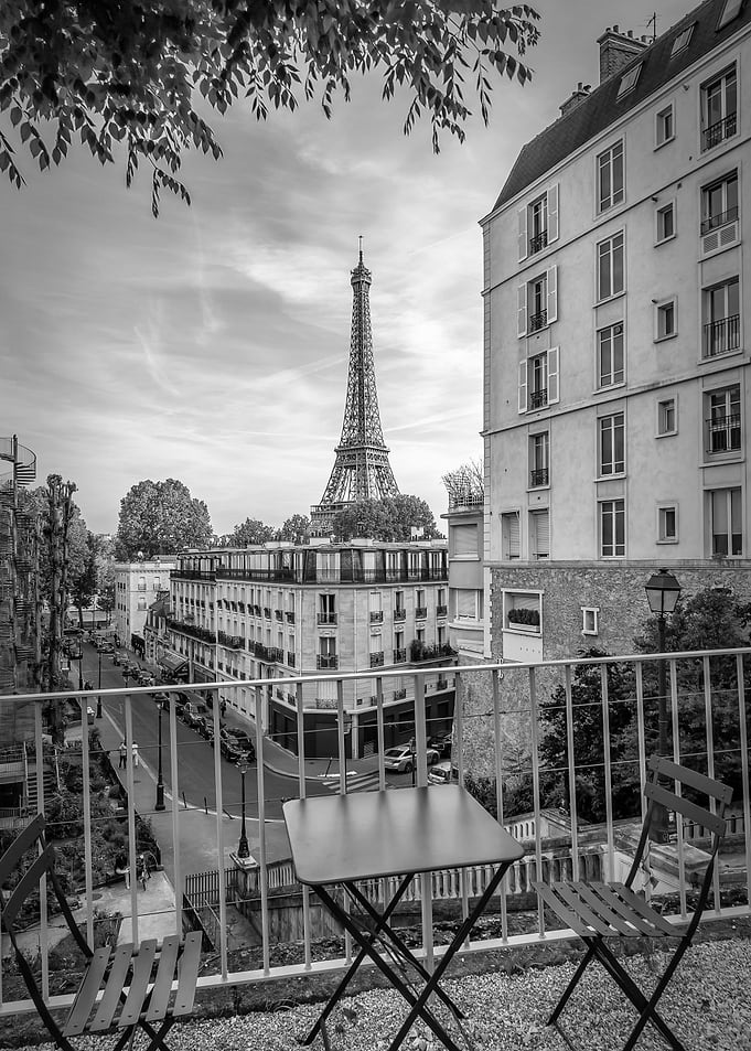 Eiffel Tower View