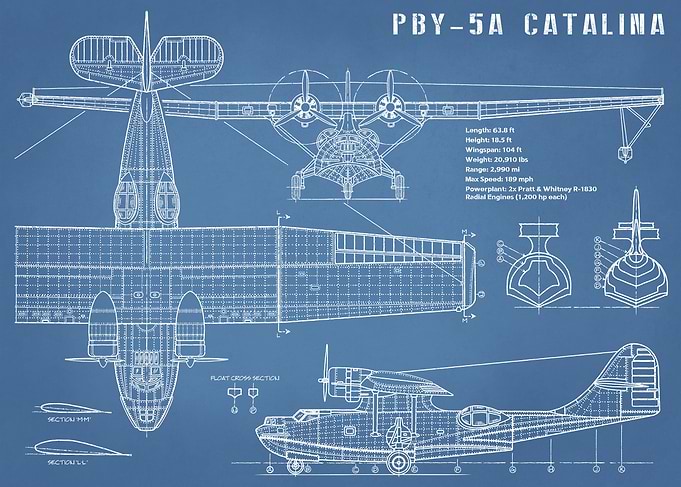 Catalina Vintage Airplane