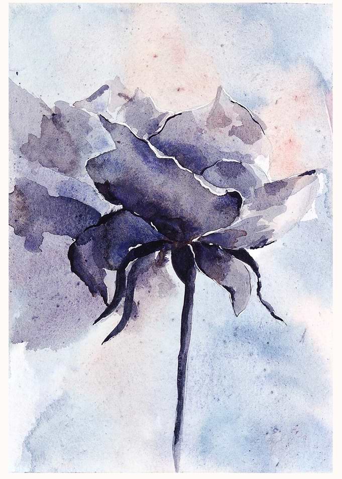 Moonlight Rose
