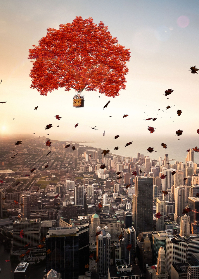 Tree launched into air