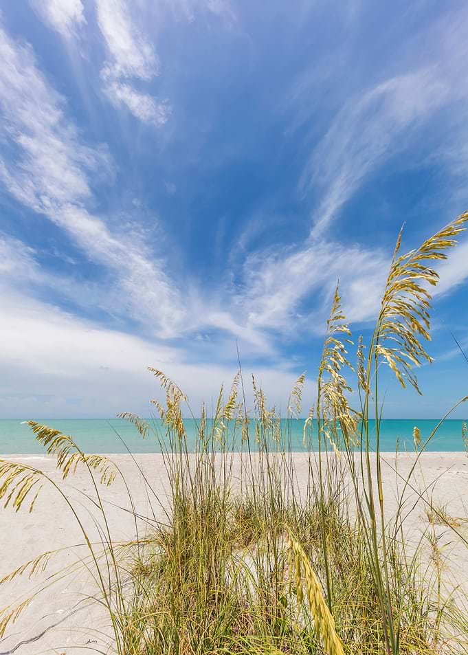 Calmness on the beach