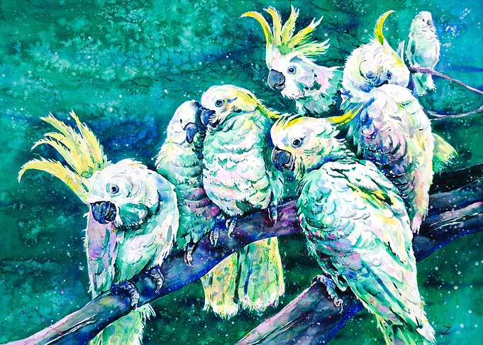 Cockatoos
