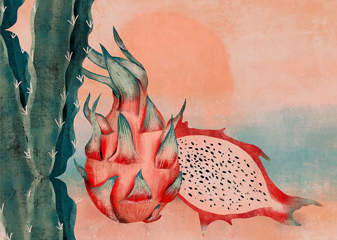 Dragon fruit