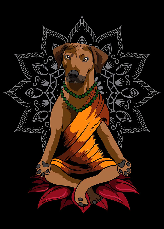 Rhodesian Ridgeback Dog