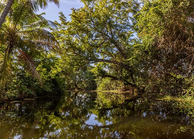 Rio la Catalina 5