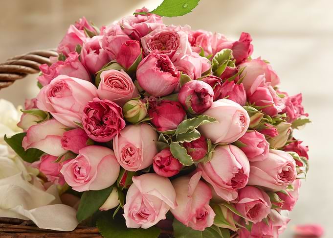Flowers Artwork