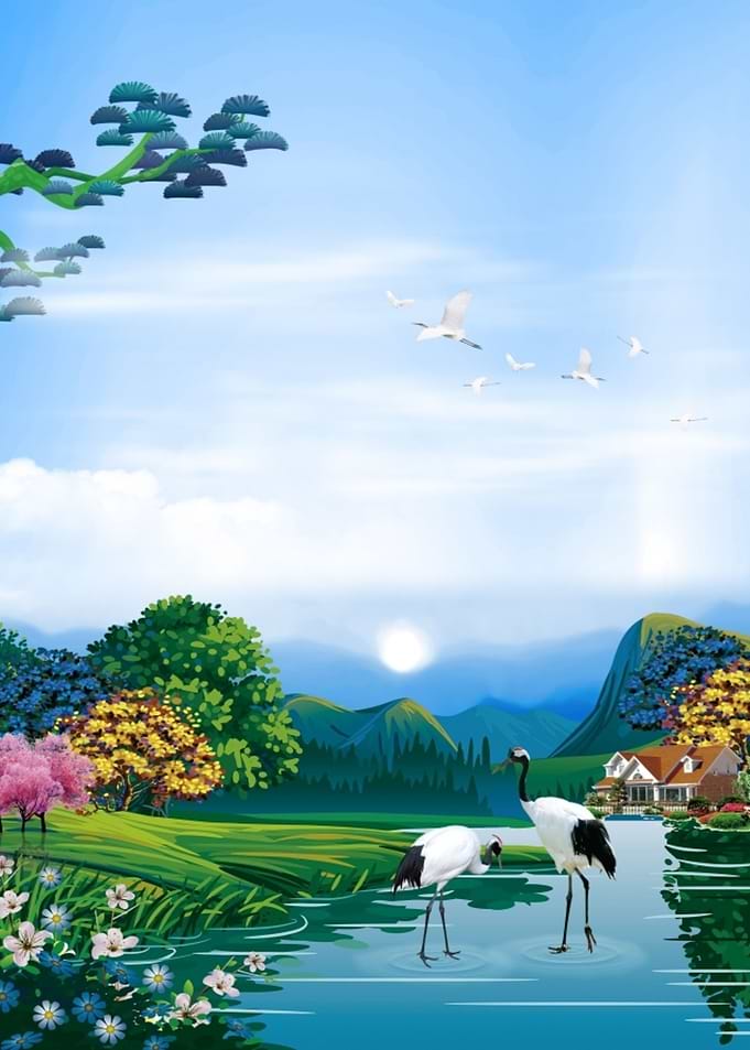 Nature Mountains Birds