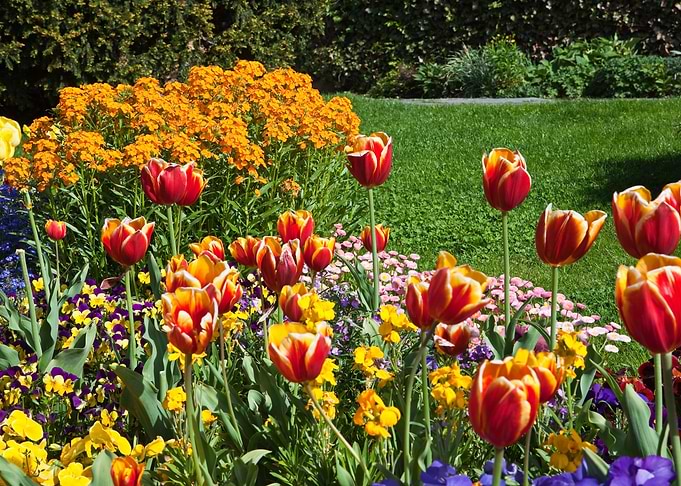 Flowers Artwork