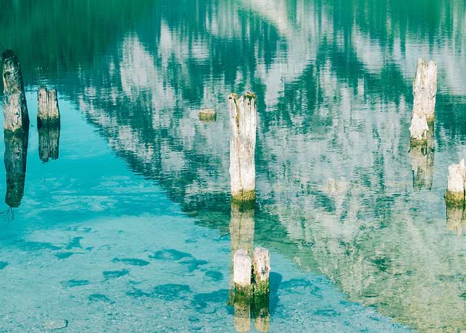 Mirror See