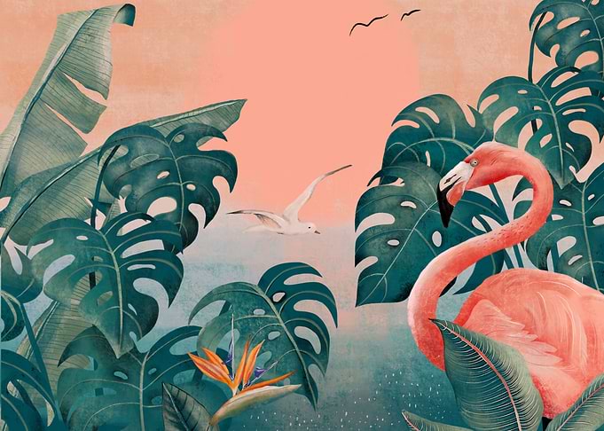 Flamingo