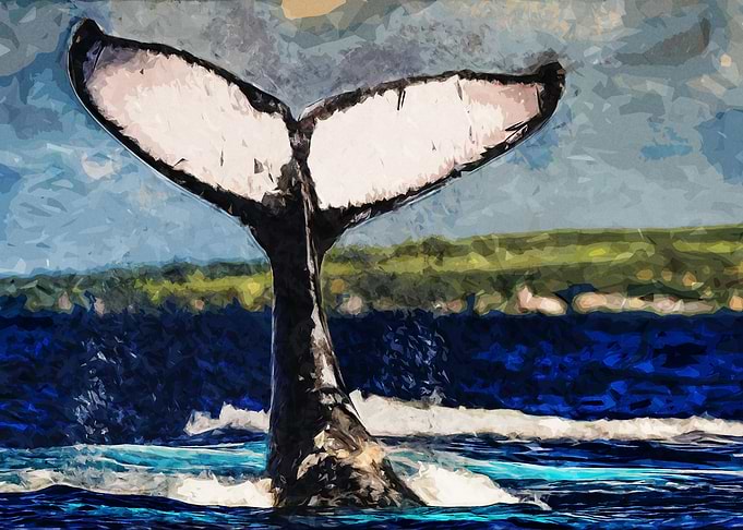 Whale