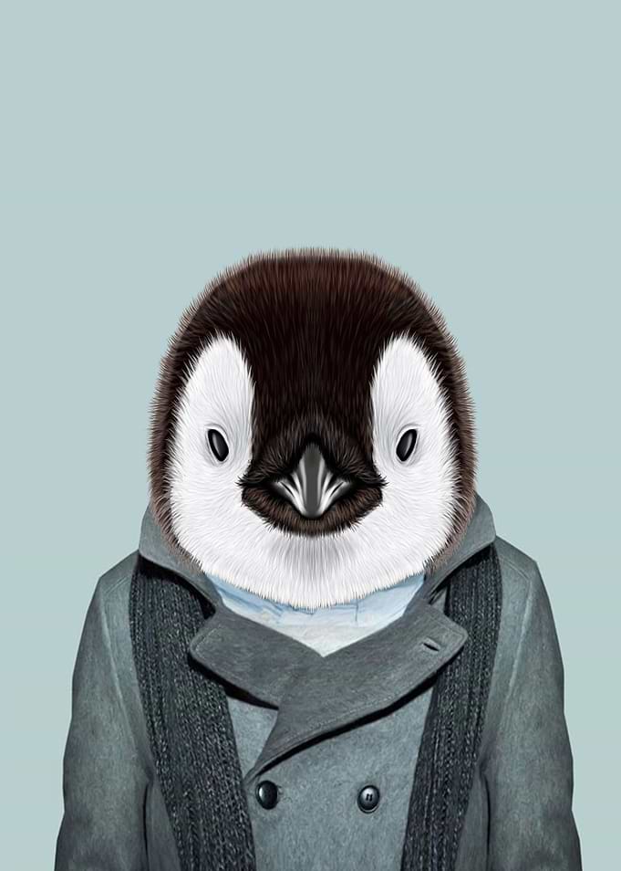 penguin portrait