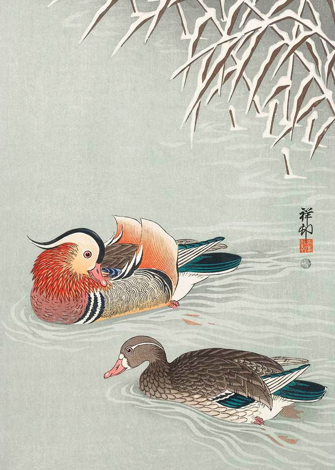 Ohara Konso Ducks