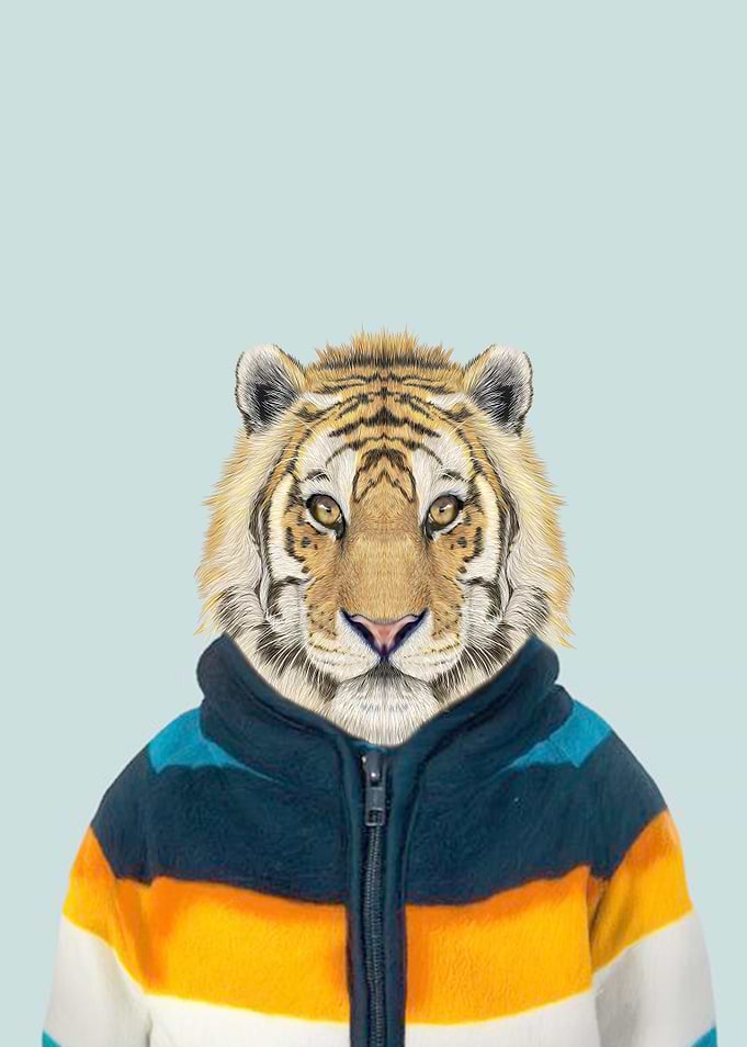 baby tiger portrait