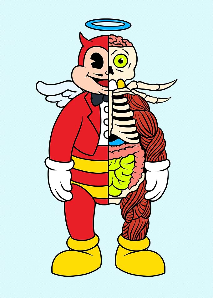 Happybee Anatomy