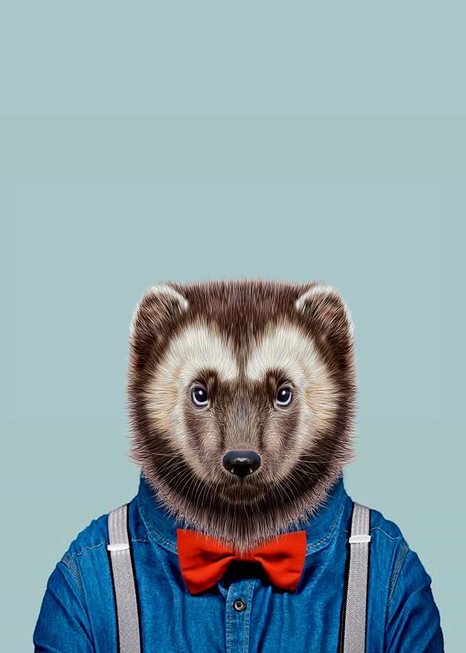 Wolverine portrait