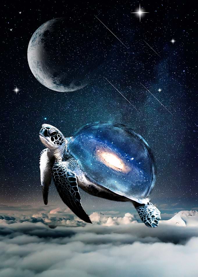 cosmo adventurer