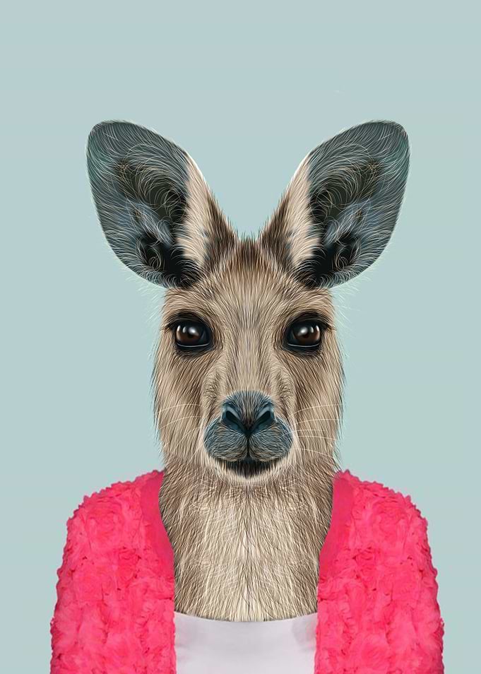 lady kangaroo portrait