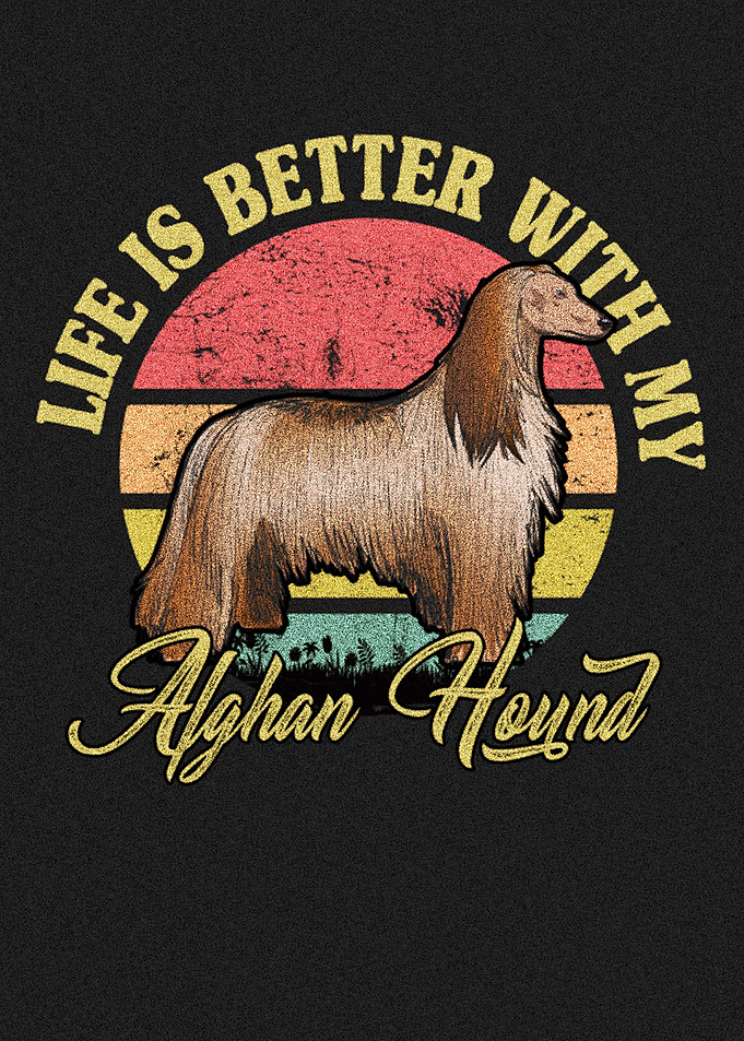Alghan hound 1