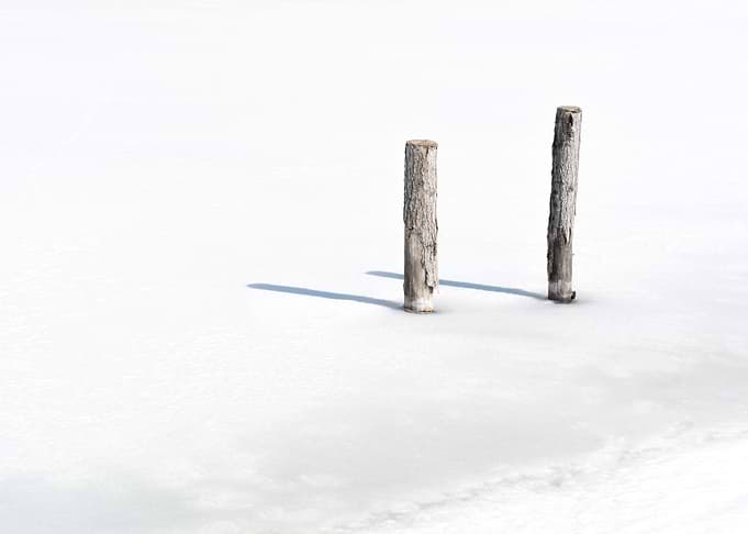 Woodlogs In Sync