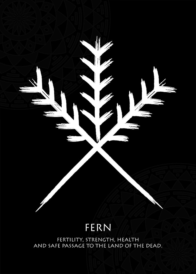 Fern