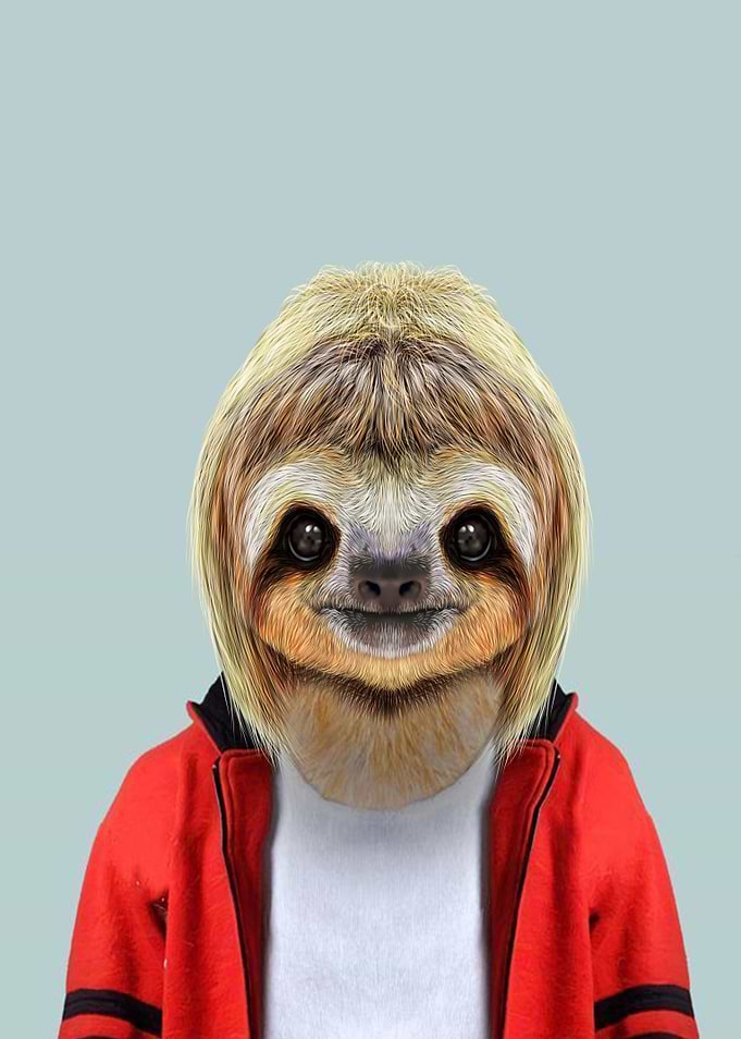 sloth portrait