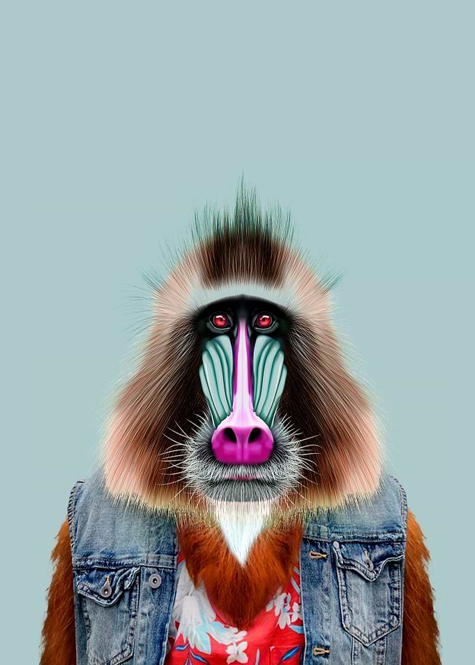 Mandrill monkey portrait